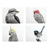 Cheap ⭐ Maxwell & Williams Marini Ferlazzo Birds Of Australia 34x26.5cm Set Of 4 Gift Boxed Cork Back Placemat 🔥 1 Cheap ⭐ Maxwell & Williams Marini Ferlazzo Birds Of Australia 34x26.5cm Set Of 4 Gift Boxed Cork Back Placemat 🔥 -Barcraft shop unnamed file 586