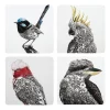 Best Sale 🛒 Maxwell & Williams Marini Ferlazzo Birds Of Australia Set Of 4 10.5cm Cork Back Coaster 👏