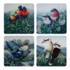 Wholesale 🔥 Maxwell & Williams Birds Of Australia KC 10 Year Anniversary 10.5cm Set Of 4 Gift Boxed Cork Back Coaster 🤩 -Barcraft shop unnamed file 688